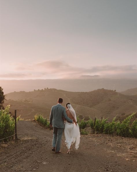 Vineyard wedding in Spain✨ Some snaps from this beautiful wedding with an amazing team at Perinet Winery in La Morera de Monsant🫶🏻 WP & Designer @caramela__wp Floral design @rita.experience Venue @perinetwinery Music & sound @suitandmusic Rentals @abanik_rent_events Catering @quatremolins Thanks to Camille & Pearson for their trust❤️ @welcome_2_camelot #minimalist #minimalvenue #minimalweddingvenue #luxurywedding #luxuryweddingplanner #tarragona #vineyard #vineyardspain #vineyardwedding #... Simple Winery Wedding, Vineyard Wedding Photos, Vineyard Wedding Aesthetic, Vineyard Aesthetic, Vineyard Wedding Inspiration, Wedding In Spain, Vineyard Weddings, Napa Valley Wedding, Wedding Spain