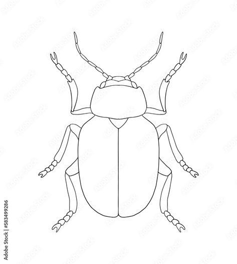 Beetle Reference, Beetle Outline, Leaf Beetle, Linear Pattern, Art Inspo, Stained Glass, White Background, Stock Vector, Design Ideas