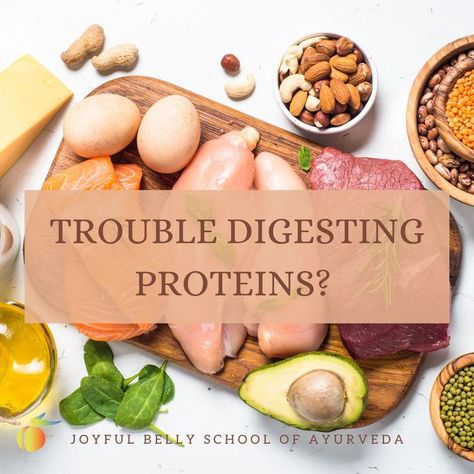 Sugar cravings are often a masked craving for proteins. Increasing protein intake can reduce sugar cravings. Trouble digesting proteins? Explore the Ayurvedic approach to improving protein digestion. o learn more about topics like this, enroll in the Mastering Ayurvedic Digestion & Nutrition online certification course: https://www.joyfulbelly.com/Ayurveda/course/Masters-of-Ayurvedic-Digestion-Nutrition-500-Hour-Certification/146 Easy To Digest Protein, Proteins Food, Reduce Sugar Cravings, Protein Intake, Sugar Cravings, Protein Foods, Boost Energy, Food Cravings, Ayurveda