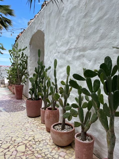 Terracotta Turquoise, Palm Springs Garden, Cactus House Plants, Spanish Home Decor, Uluwatu Bali, Rustic Patio, Lingerie Photography, Mexican Home Decor, Eilat