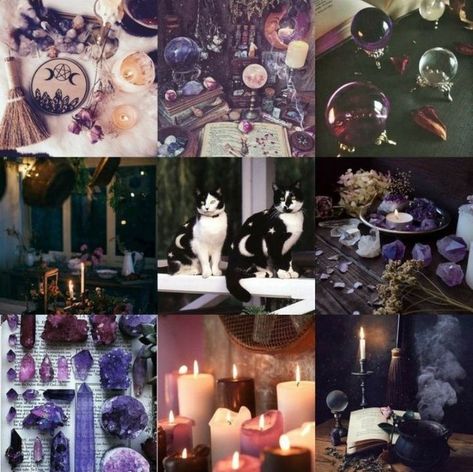 Witch Aesthetic Moodboard, Moodboard Character Inspiration, Witch Moodboard Aesthetic, Halloween Mood Board Aesthetic, Animal Mood Board, Animal Moodboard Aesthetic, Cow Moodboard, Cat Color Palette, Moodboard Inspiration Mood Boards Ideas