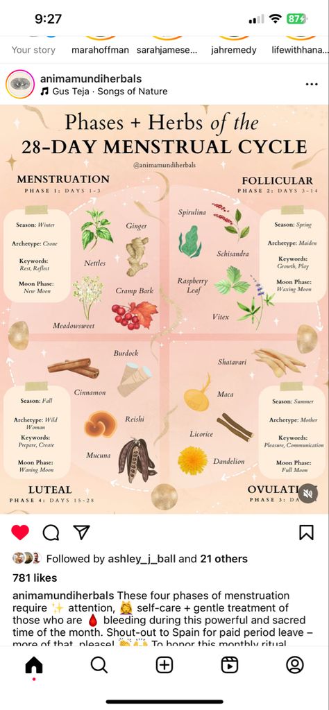 Best Herbs For Menstrual Cramps, Herbs For The Uterus, Period Herbal Tea, Teas For Period Cycle, Herbs For Your Period, Herbal Tea Cycle Syncing, Herbal Menstrual Relief, Herbs To Start Period, Teas For Cycle Syncing