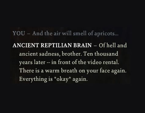 Reptilian Brain, Disco Elysium, Everything Will Be Ok, A Thousand Years, Literally Me, Book Quotes, Writing, Quotes, Books