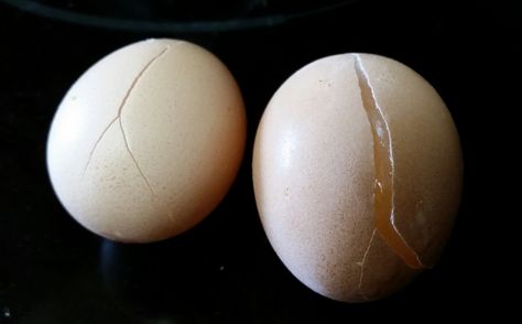 Frozen Eggs, Ugh.  Read how to prevent them and how you can use them. Frozen Eggs, Freezing Eggs, Starting A Family, Chicken Keeping, Farm Fresh Eggs, Frozen Chicken, Whole Eggs, Fresh Eggs, Chicken Eggs