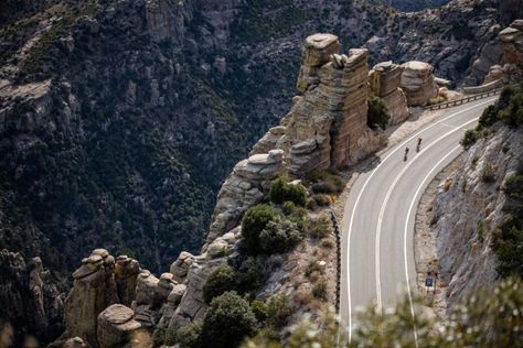 Mount Lemmon, Mt Lemmon, Island In The Sky, Sonora Desert, Santa Catalina, Arizona Travel, Mountain Biker, Pine Forest, Scenic Routes