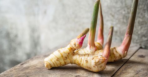 Galangal root is a spice that's closely related to ginger and turmeric. This article reviews galangal root's benefits and safety, as well as how it compares with ginger and turmeric. Galangal Root, Herbal Health, Vegan Fish, Thai Dishes, Ayurvedic Herbs, Types Of Cancers, Food Tasting, Traditional Medicine, Root Vegetables