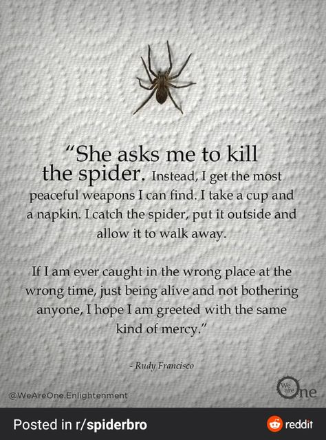 Rudy Francisco Poems, Thou Shall Not Kill, Spider Quotes, Rudy Francisco, Wrong Place Wrong Time, Poetic Quote, Life Is Precious, Wrong Time, The Spider