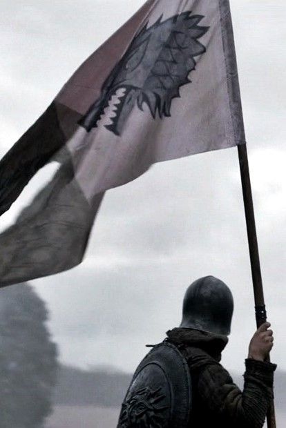 Eddard Stark, Ned Stark, Game Of Thrones Tv, Medieval Aesthetic, Robb Stark, The North Remembers, Fire And Blood, Between Two Worlds, Lemony Snicket