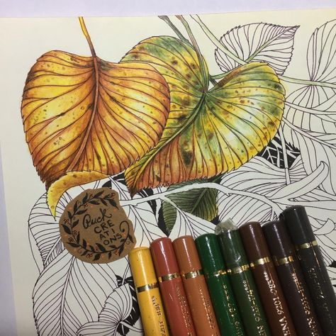 Puck Creations (@mellymartinelli) • Instagram-bilder og -videoer Bodhi Tree Art, Magical Jungle Johanna Basford, Leila Duly, Prismacolor Drawing, Pencil Inspiration, Coloring Tips, Colored Pencil Techniques, Coloring Tutorial, Colouring Techniques