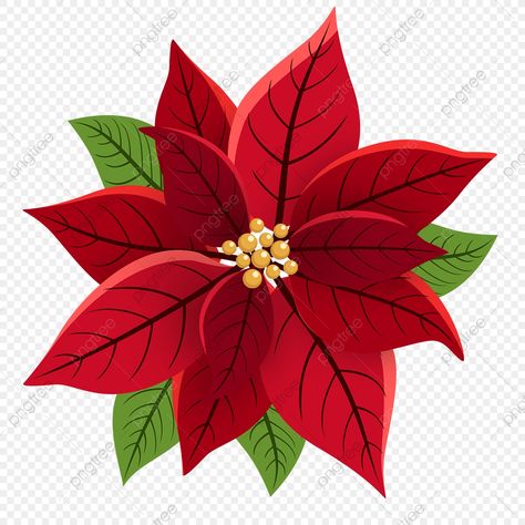 Christmas Flowers Poinsettia, Winter Doodles, Red Christmas Flower, Red Christmas Background, Poinsettia Decor, Poinsettia Plant, Xmas Sticker, Christmas Leaves, Poinsettia Flowers