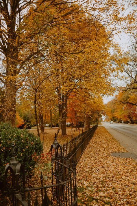 #missouri #fall #autumn #mariewhitephotography Missouri Aesthetic, Autumn Lockscreen, Autumn Hygge, Fall Foilage, Autumn Photos, Autumn Wallpaper, New England Fall, Crisp Air, Fall Inspo