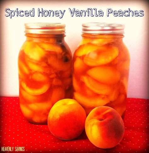 Canned - Spiced Honey Vanilla Peaches! Vanilla Peaches, Summer Canning, Spiced Peaches, Spiced Honey, Canning Peaches, Canning Fruit, Canning Tips, Canned Peaches, Jams & Jellies