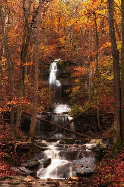 Autumn In Kentucky, Kentucky Attractions, Kentucky Vacation, Kentucky Travel, Hidden Places, Autumn Scenery, Camping Experience, Go Camping, Fall Foliage