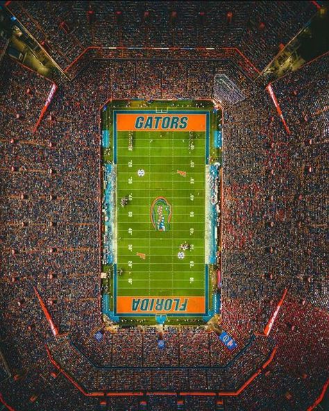 Florida Gators Aesthetic, Uf Aesthetic, Football Crowd, Gators Wallpaper, Florida Gators Wallpaper, Uf Football, Florida Gators Softball, College Prints, Softball Backgrounds