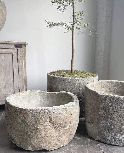 Antique Stone Sink, Stone Sinks, تصميم للمنزل العصري, Stone Planters, Cement Planters, Antique Stone, Have Inspiration, Room Deco, Trendy Short Hair