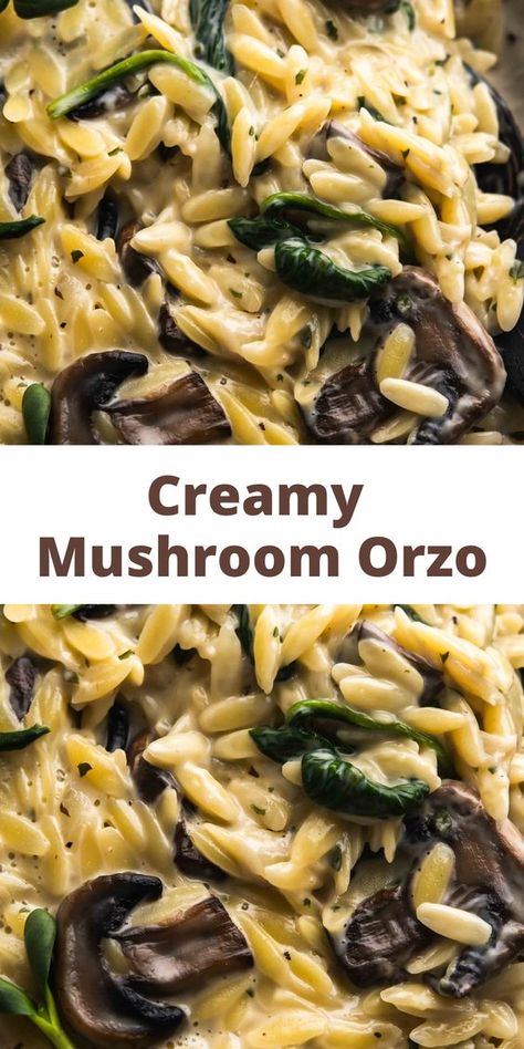 Orzo Recipes Side, Orzo Dinner Recipes, Mushroom Orzo, Spinach Orzo, Pasta With Mushrooms, Vegetarian Pasta Dishes, Mushroom Spinach, Pasta Side Dishes, Orzo Recipes