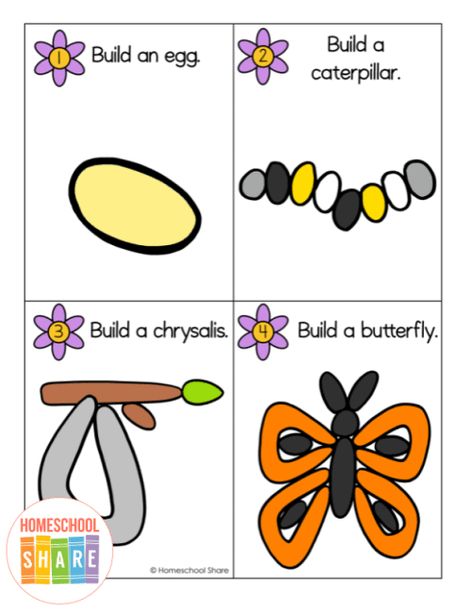 Free Butterfly Life Cycle Playdough Mats - Homeschool Share Insect Playdough Mats, Life Cycle Of A Butterfly Preschool, Butterflies Kindergarten, Birds Activities, Insect Unit Study, Butterfly Life Cycle Craft, Insect Study, Butterfly Lessons, Instructional Activities