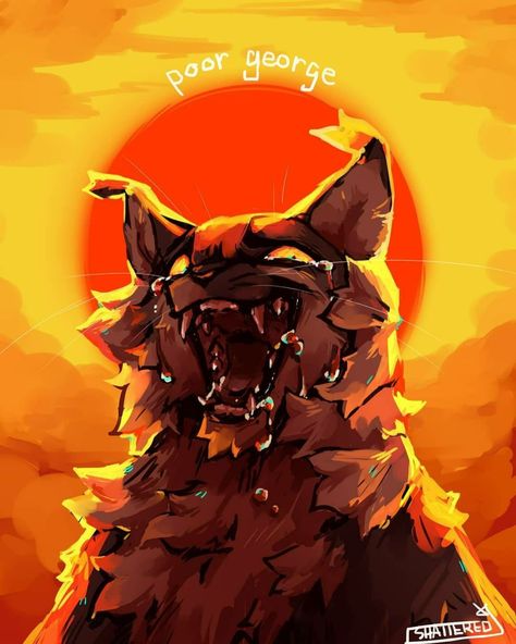 Warrior Cats, A Cat, Art