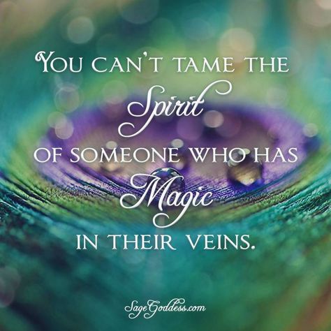 you-cant-tame-the-spirit-of-someone-who-has-magic-in-their-veins Fairy Quotes, Magical Quotes, Daily Greetings, Magic Quotes, Fairies Elves, Believe In Magic, A Quote, Beautiful Quotes, The Words