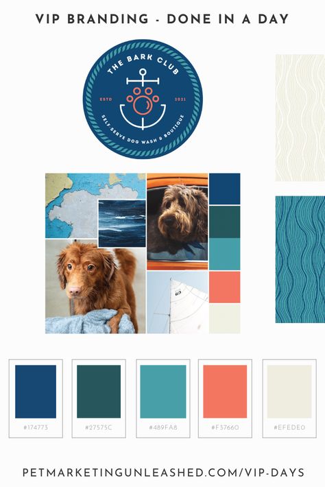 Pet Business Branding, Pet Marketing, Pet Services Business, Logo Mood Board, Vip Day, Teal Color Palette, Pet Branding, Brand Colour Schemes, Dream Pet