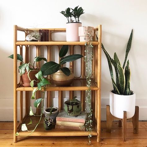 SOLD // Beautiful vintage rattan shelving with ply shelves. Perfect condition. H90 x W66 x D35cm. Comment SOLD to purchase.… Bamboo Shelving Unit, Ply Shelves, Rattan Shelving, Vintage Rattan, Closet Room, Plant Shop, Room Deco, Room Inspo, Shelving Unit