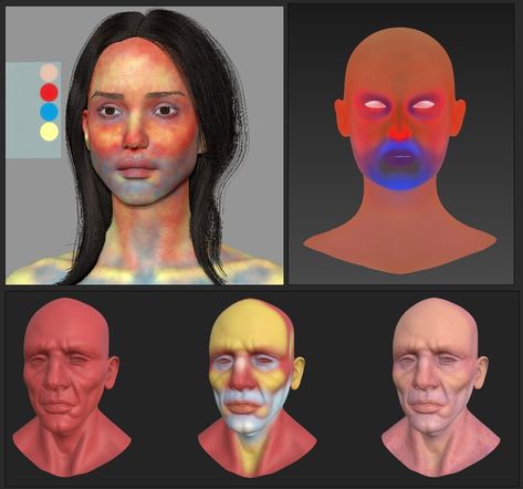 facial color zones - Pesquisa Google Face Temperature Painting, Face Color Zones, How To Color Skin, Paint Brush Drawing, Art Test, Skin Paint, Face Anatomy, Anatomy Sculpture, Digital Painting Tutorials