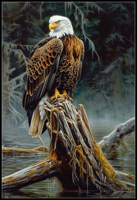 Native American Knowledge, Cross Stitch Patterns Printable, Electronics Pattern, Patriotic Pictures, Eagle Images, Eagle Painting, Embroidery Crafts, Patterns Printable, Eagle Pictures