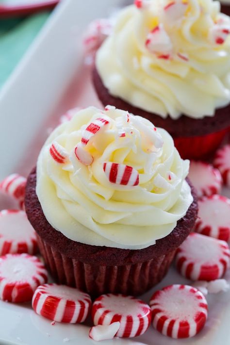 Red Velvet Cupcakes with Peppermint Cream Cheese Frosting Cream Cheese Frosting For Red Velvet Cupcakes, Gingerbread Cupcakes With Cream Cheese Frosting, Red Velvet Peppermint Cupcakes, Red Velvet Cupcake With Cream Cheese Frosting, Pepermint Cupcakes, Cupcake Frosting Tips, Spicy Southern Kitchen, Moist Cupcakes, Peppermint Cream