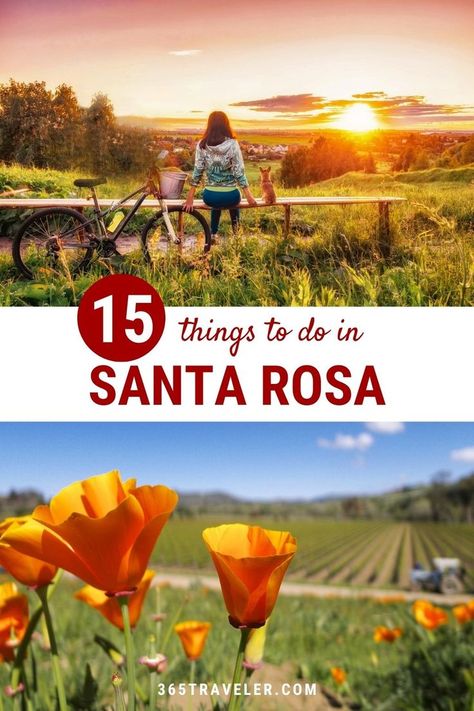 Santa Rosa, California is a place at the crossroads of history and nature. You'll find award-winning wineries, state parks, incredible views, outdoor recreation, and so much more. Here are 15 things to do in Santa Rosa that you can't miss! Things To Do In Santa Rosa California, Santa Rosa Wineries, California Getaways, Napa Trip, Sonoma Wineries, California Winery, Santa Rosa California, Wine Country Travel, Bachelorette Vacation