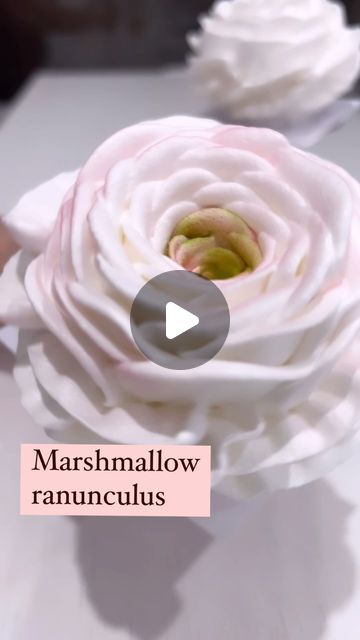 Zhanna Kazantseva  Marshmallow flowers artists  Online classes on Instagram: "Beautiful ranunculus 🌸" Marshmallow Flowers How To Make, Marshmallow Flower, Marshmallow Icing, Buttercream Piping, Marshmallow Flowers, Chocolate Bouquet Diy, How To Make Marshmallows, Flower Artists, Flower Cupcakes