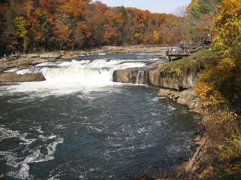 Historical Attractions In Pennsylvania | ... Reviews - Mill Run, The Alleghenies Attractions - TripAdvisor Ohiopyle State Park, Falling Water House, What To Do Today, To Do Today, Weekend Trips, Tourist Attraction, State Park, Travel Dreams, Outdoor Recreation