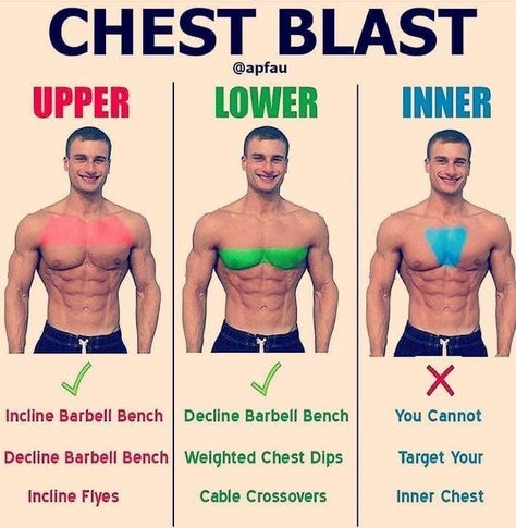 Chest Flys, Pec Deck, Workout Posters, Gym Tips, Weight Training Workouts, Chest Workouts, Chest Workout, Bodybuilding Workouts, Media Content