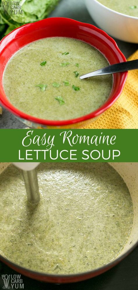 Want a hot and nourishing dish you can whip up quickly with simple ingredients? This romaine lettuce soup is an easy to prepare comfort food. Lettuce Soup Recipes, Romaine Recipes, Romaine Lettuce Recipe, Soup Onion, Lettuce Soup, Romain Lettuce, Lettuce Recipes, Keto Soups, Best Low Carb Recipes