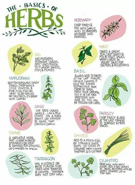 Magia Das Ervas, Magic Herbs, Magical Herbs, Herbal Healing, Herbal Magic, Healing Herbs, Kitchen Witch, Planting Herbs, Medicinal Herbs