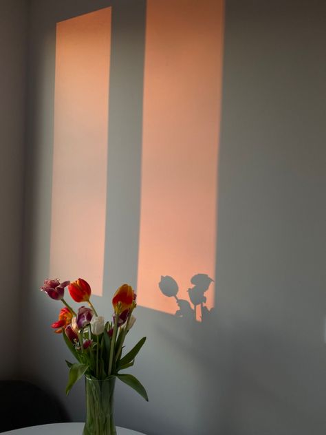 Insta Edits, Shadow Aesthetic, Pink Morning, Flower Shadow, Sun Shadow, Flower Graphic Design, Baby Love Quotes, Window Light, Shadow Art