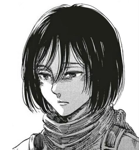 cleaned manga panel Mikasa Ackerman Manga, Alice In Wonderland Aesthetic, Drawing Examples, Eren And Mikasa, Mikasa Ackerman, Attack On Titan Fanart, Sakura Card, Attack On Titan Art, Animated Drawings