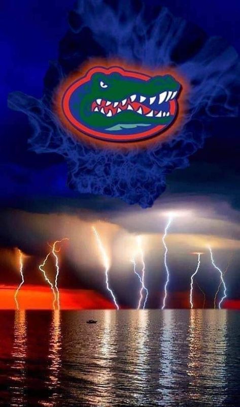 Florida Gator Memes, Florida Gators Football Wallpaper, Florida Gymnastics, Fla Gators, Florida Gators Wallpaper, Uf Gator, Lsu University, Gator Football, Gator Logo