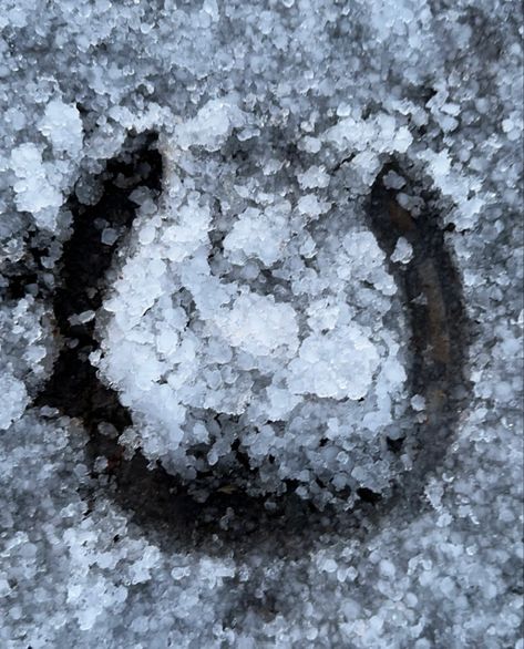 my horses hoof print in the snow <3 Hoof Print, Wild Horses, How To Look Pretty, Horses