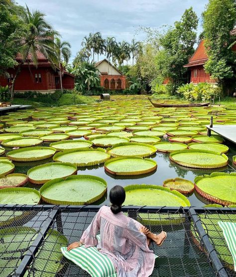 objet LA/NY on Instagram: “Missing #Thailand. Via @cakeatelieramsterdam #Asia #wanderlust #Thaichic” Phuket Photography, Thailand Restaurant, The Scene Aesthetic, Graduation Board, Thailand Pictures, Travel Photoshoot, Scene Aesthetic, Thailand Vacation, Resort Architecture