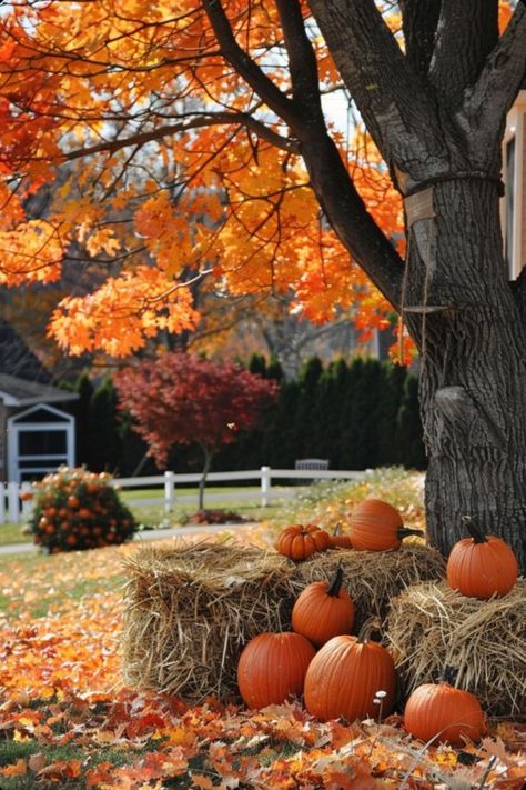 Outdoor Fall Decor Ideas, Outdoor Fall Decor, Fall Aesthetics, Welcome Autumn, Autumn Orange, Fall Decor Ideas, Autumn Magic, Fall Outdoor Decor, Autumn Scenes