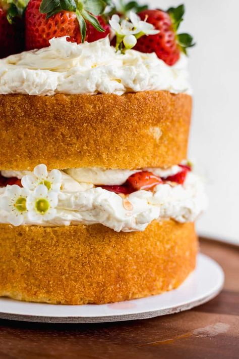 This naked strawberry honey sponge cake is moist, decadent and very versatile. It has the perfect balance of textures with spongy cake layers, smooth buttercream, sweet honey and fresh strawberries. Strawberry Honey Cake, Strawberry Sponge Cake Decoration, Modern Honey Vanilla Cake, Strawberry Seismic Cake, Midsummer Strawberry Cake, Two Layer Cakes, Vanilla Sponge Cake, Store Bought Cake, Best Honey