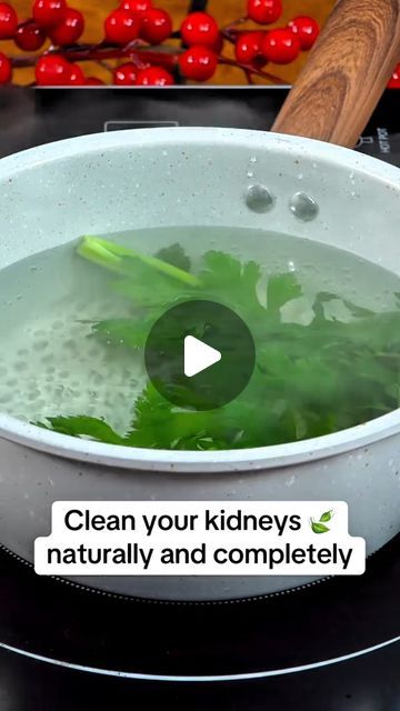 Parsley Drink For Kidneys, Parsley For Kidney Cleanse, Kidney Remedies Natural, How To Heal Kidneys Naturally, Parsley Cleanse, Kidney Health Remedies, Herbs For Kidney Health, Natural Kidney Cleanse, Clean Your Kidneys