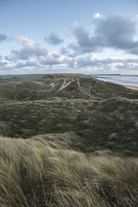 Photo by Jonathan Bean | Unsplash Shell Cottage, Harry Potter Filming Locations, Hogwarts Great Hall, Gloucester Cathedral, Alnwick Castle, West Wales, Most Haunted Places, London Zoo, Hogwarts Castle