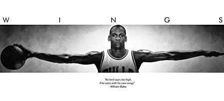 Michael Jordan Wings Poster, Michael Jordan Wings, Michael Jordan Poster, Michael Jordan Art, Sport Posters, Sports Campaign, Jordan Poster, Nike Poster, Michael Jordan Pictures