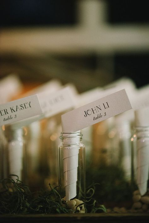 message in a bottle - woodland wedding inspiration Message In A Bottle Wedding, Woodland Wedding Inspiration, Glass Bottles With Corks, Seating Plan Wedding, Maui Weddings, Message In A Bottle, Seating Chart Wedding, Woodland Wedding, Wedding Seating