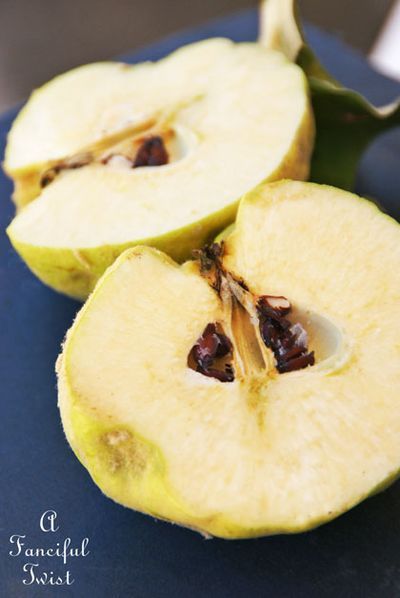 Fruit Photography, Quince, Twist, Fruit