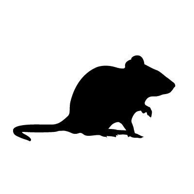 Rat Silhouette, Giraffe Drawing, Sneaker Posters, Halloween Elements, Best Photo Background, Pumpkin Art, Farm Theme, Stencil Crafts, Animal Sketches