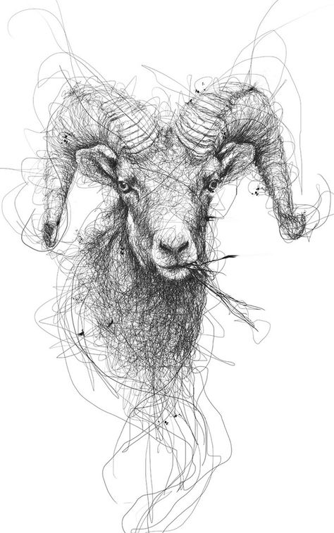 Animal on Behance Vince Low, Scribble Drawing, Scribble Art, Water Buffalo, Gesture Drawing, Arte Sketchbook, Art Et Illustration, Animal Sketches, Art And Illustration