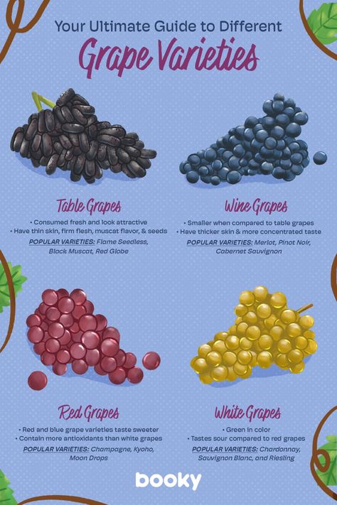 Food Lettering, Grape Varieties, Cooking Recipes In Urdu, Food Vocabulary, Fruit And Vegetable Storage, Food Infographic, Tastemade Recipes, Healthy Drinks Smoothies, Food Info