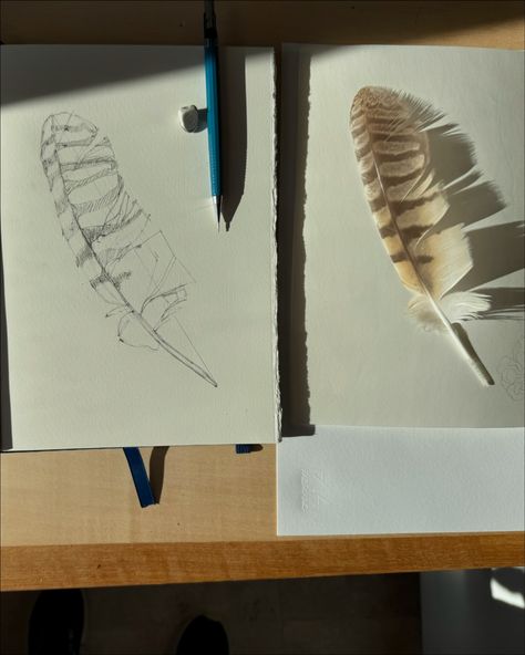 More bird motif drawing. I’ll transfer this one onto some vellum for painting. (Wow! That low angle November sunlight is powerful!) #birdpaintingworkshop #graphitedrawing #autumninsantafe #newmexicoartist Motif Drawing, Bird Motif, Low Angle, Painting Workshop, Graphite Drawings, Drawings, Quick Saves